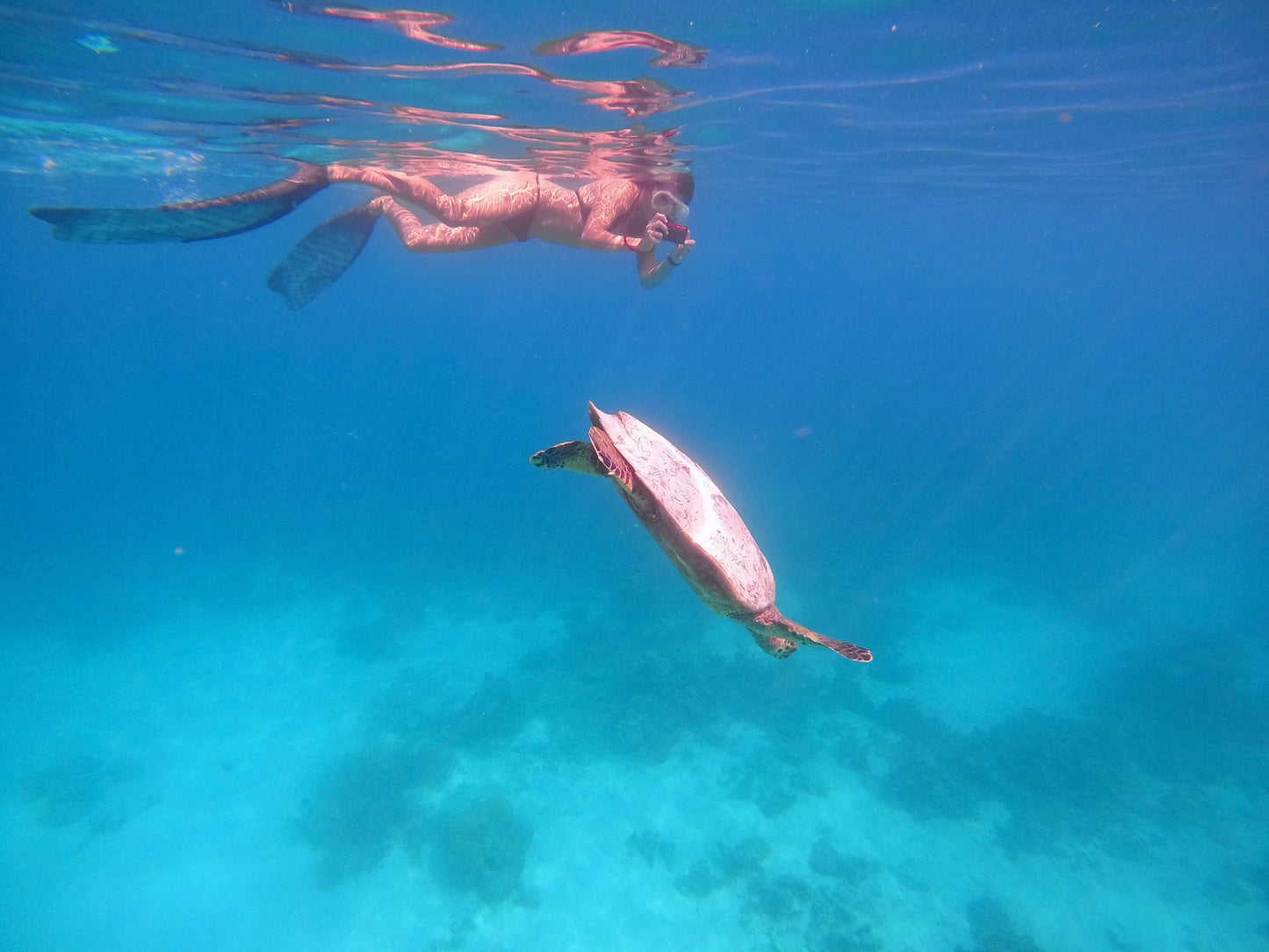 Beginner Snorkeling Experience 🐠