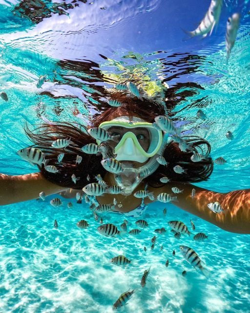 Beginner Snorkeling Experience 🐠