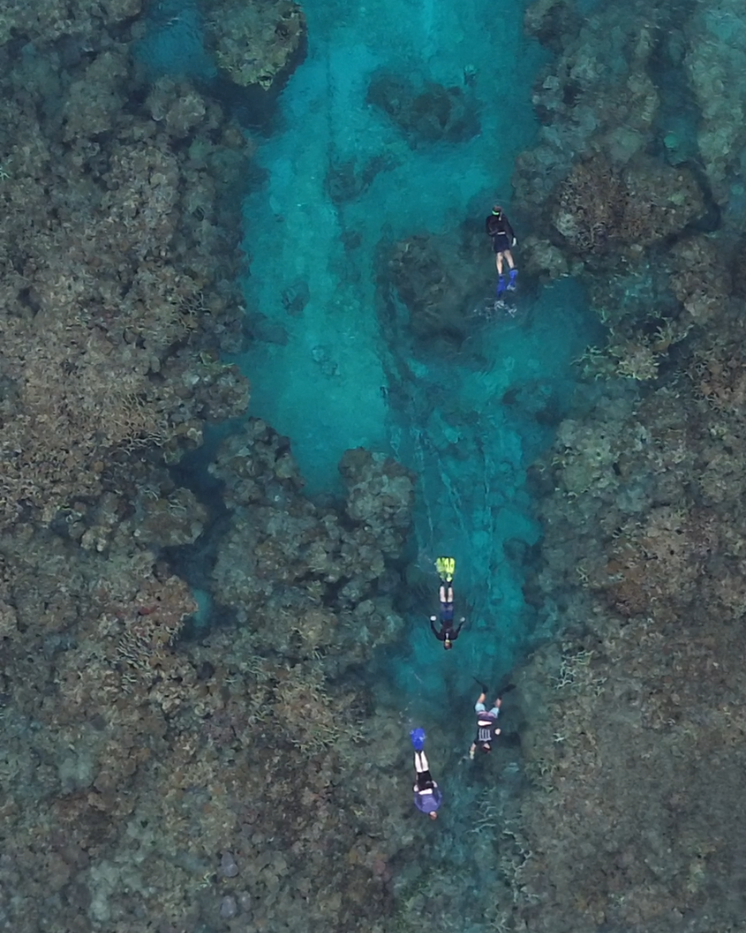 Full Ocean Experience – Snorkel, Drone & Island Tour