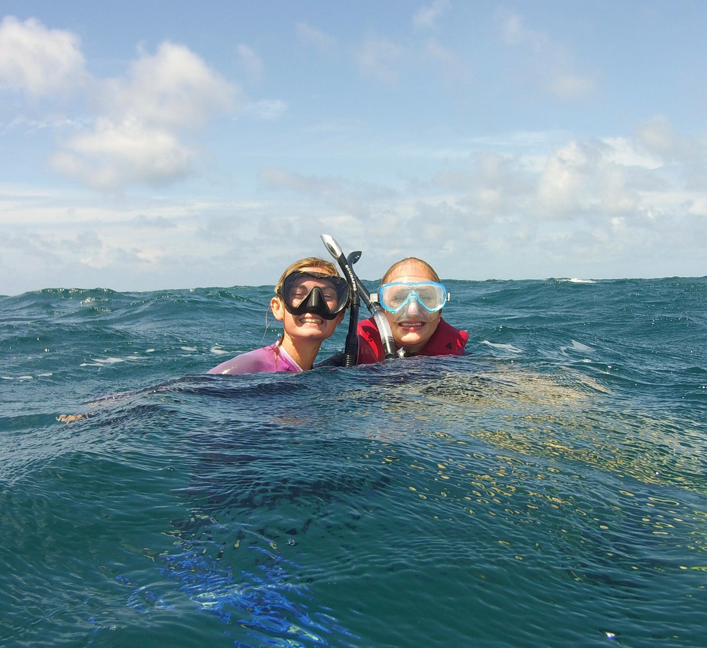 Beginner Snorkeling Experience 🐠